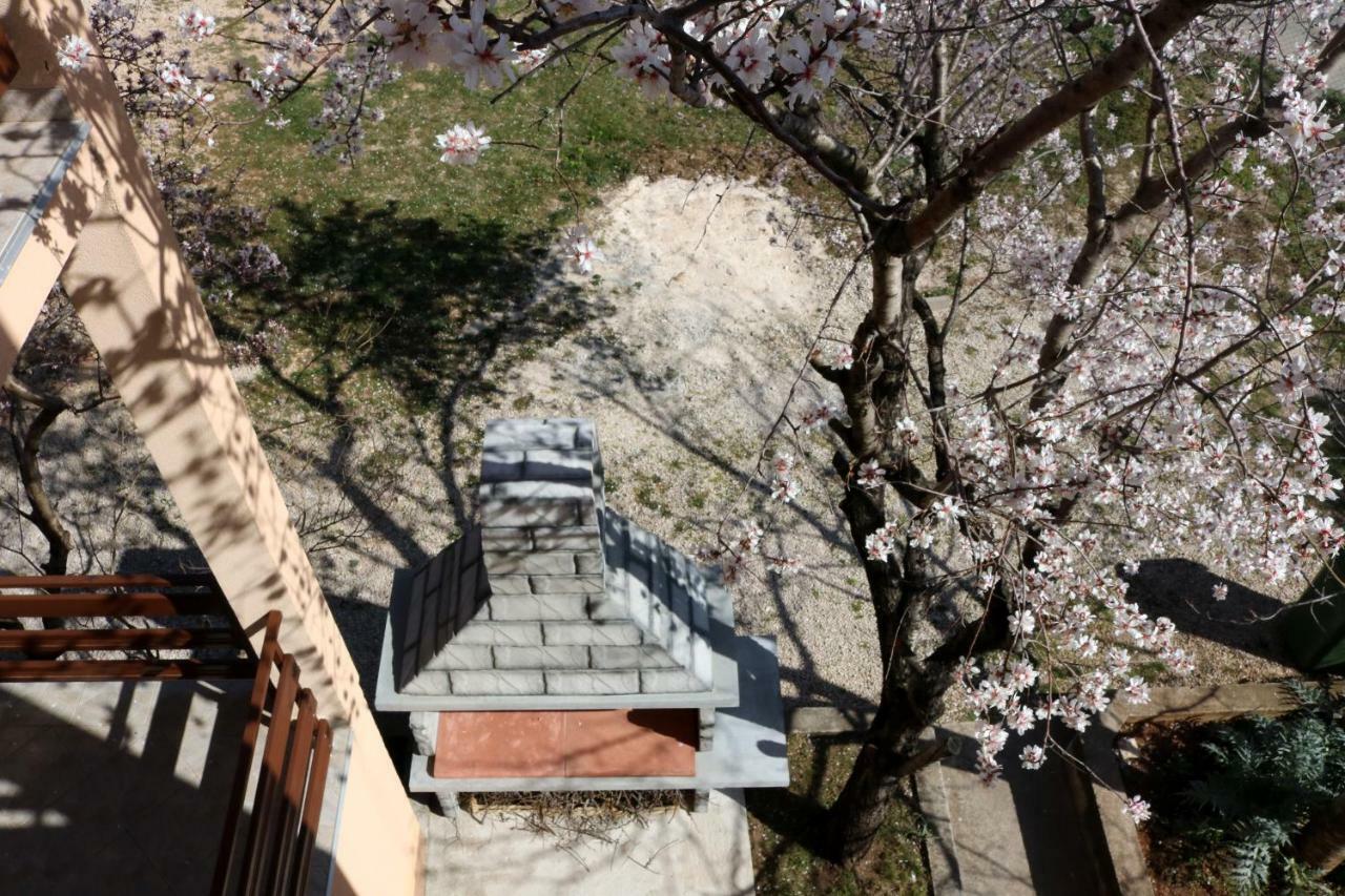 Apartment Toni Privlacka 32 ザダル エクステリア 写真